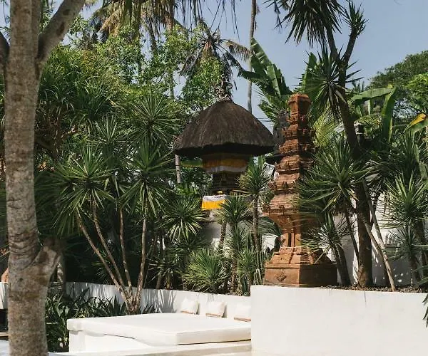 The Seseh House Villa *